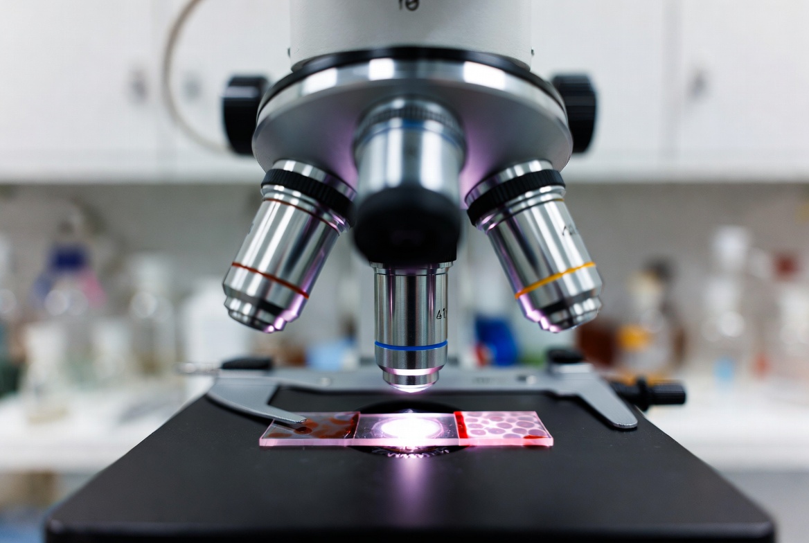 Lab